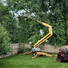 Best Sod Installation  in Port Norris, NJ