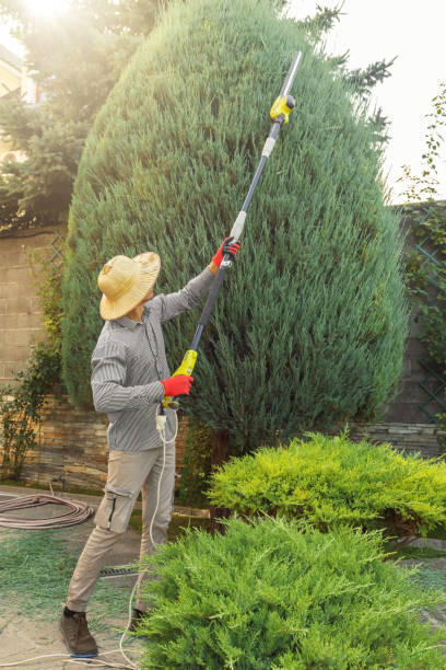 Seasonal Cleanup (Spring/Fall) in Port Norris, NJ